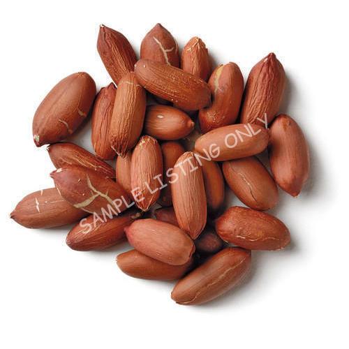 Raw Algeria Groundnuts